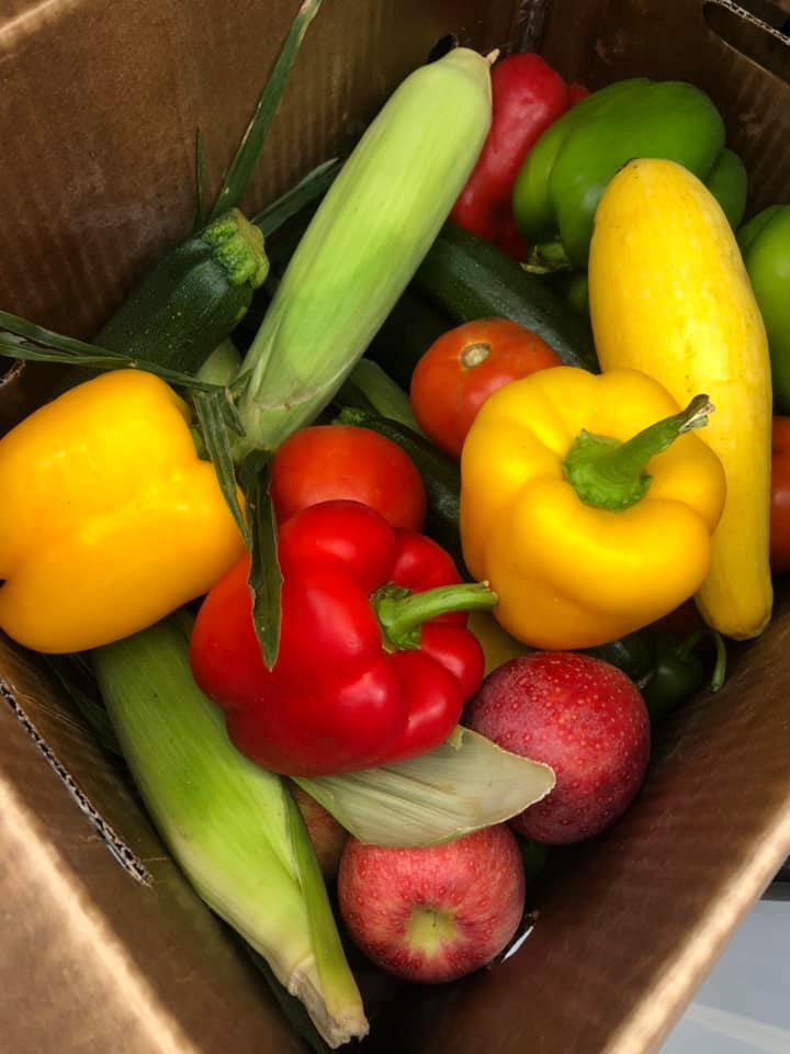 HMGMA Employee Mixed Produce Box