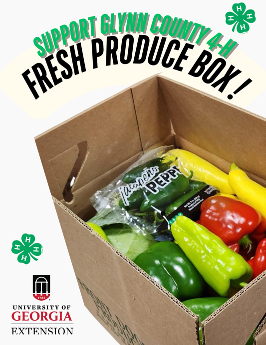 A fresh vegetable box for the Glynn County 4-H fundraiser, featuring colorful produce and fundraiser details.